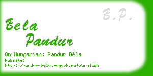 bela pandur business card