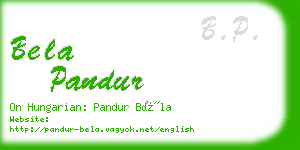 bela pandur business card